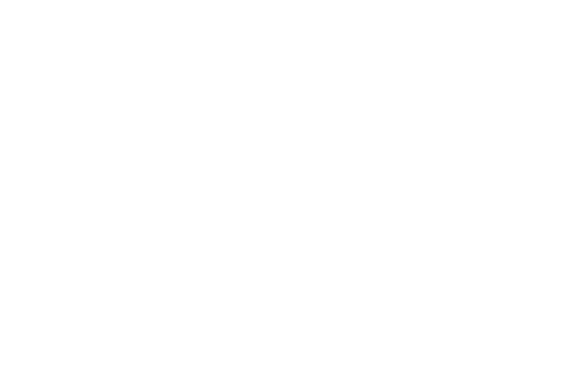 Ford_Motor_Company-Logo-white